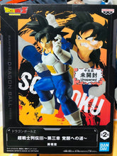 Load image into Gallery viewer, FIGURE A1-A100
