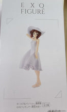 Load image into Gallery viewer, FIGURE A1-A100
